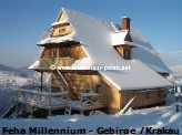 Ferienhaus Millennium